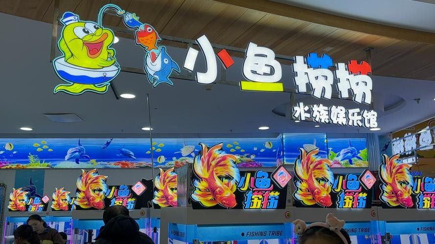 攀枝花西區開水族店怎么樣？加盟祥龍魚場賣龍魚市場怎樣？