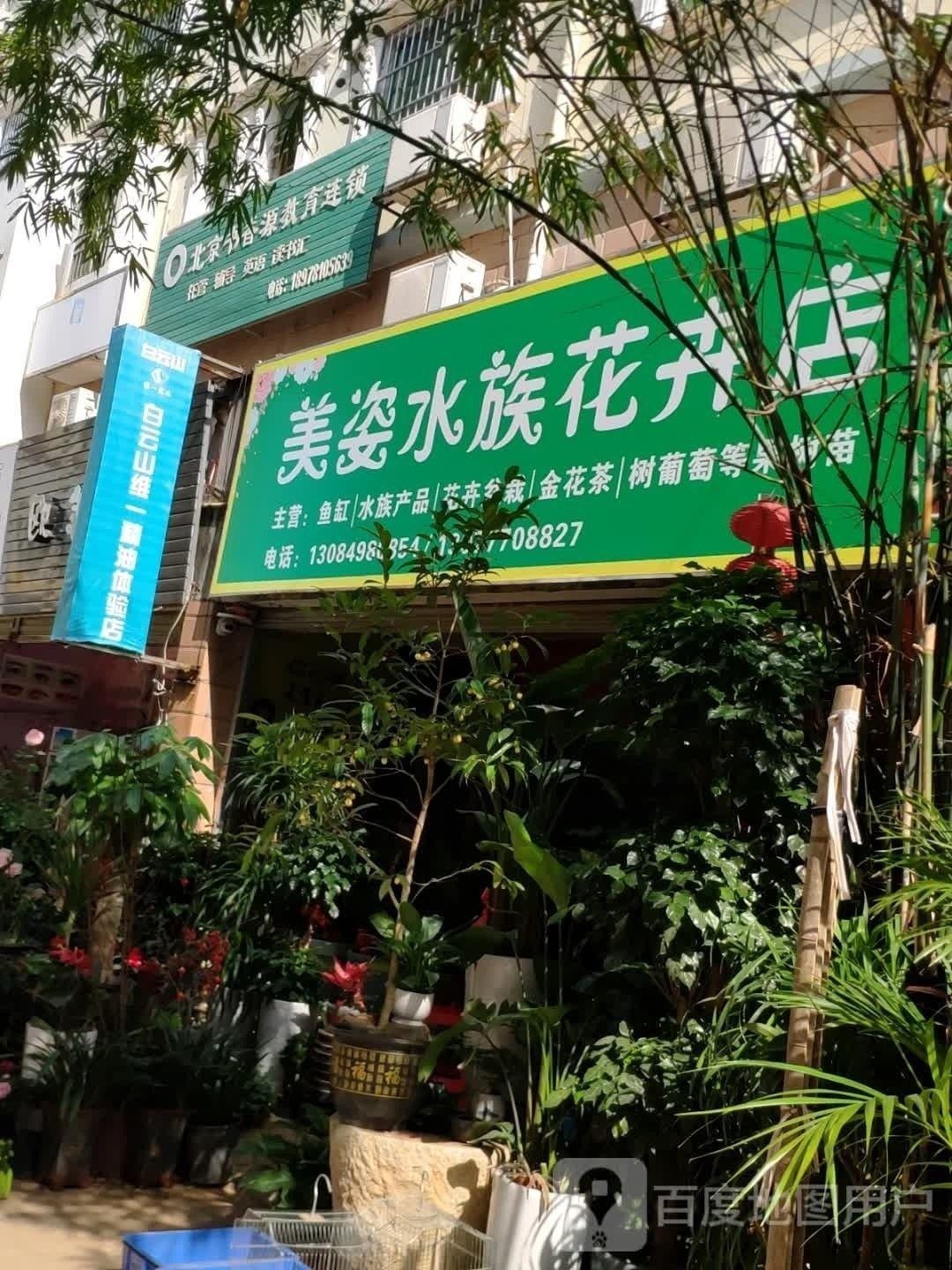 扶綏開水族店怎么樣？加盟祥龍魚場賣龍魚市場怎樣？