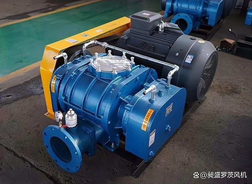 安縣開水族店怎么樣？加盟祥龍魚場賣龍魚市場怎樣？