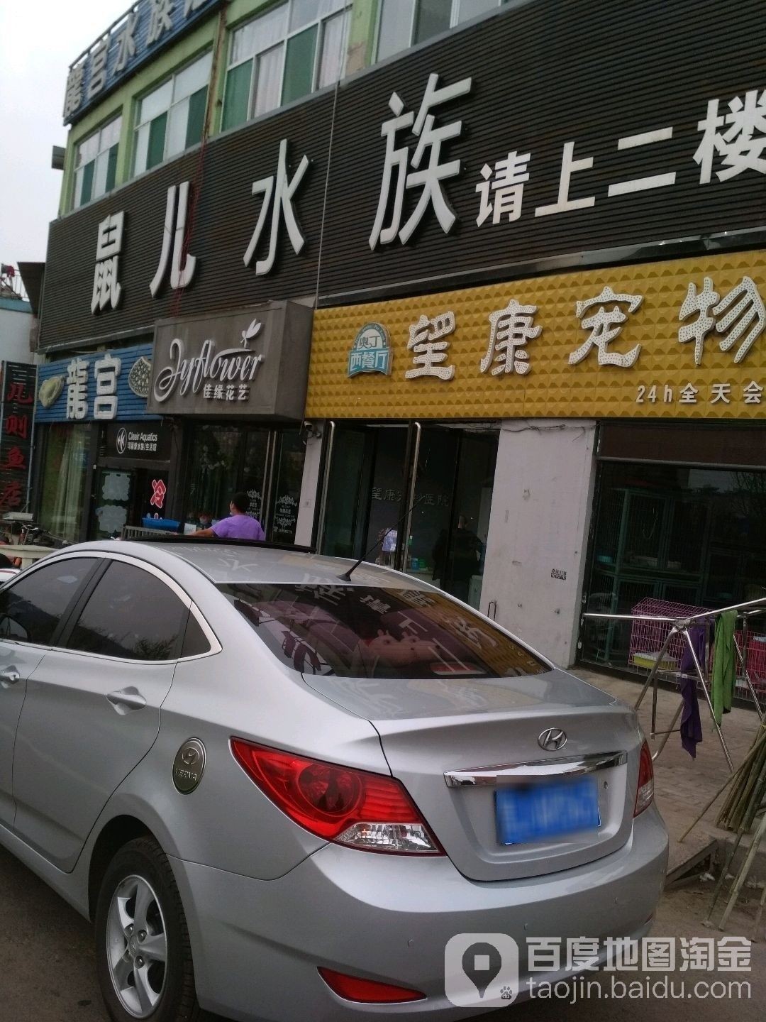 孝義開水族店怎么樣？加盟祥龍魚場賣龍魚市場怎樣？ 孝義開水族店怎么樣？加盟祥龍魚場賣龍魚市場怎樣？ 水族館百科（水族館加盟） 第1張