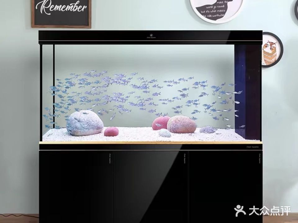孝義開水族店怎么樣？加盟祥龍魚場賣龍魚市場怎樣？ 孝義開水族店怎么樣？加盟祥龍魚場賣龍魚市場怎樣？ 水族館百科（水族館加盟） 第2張