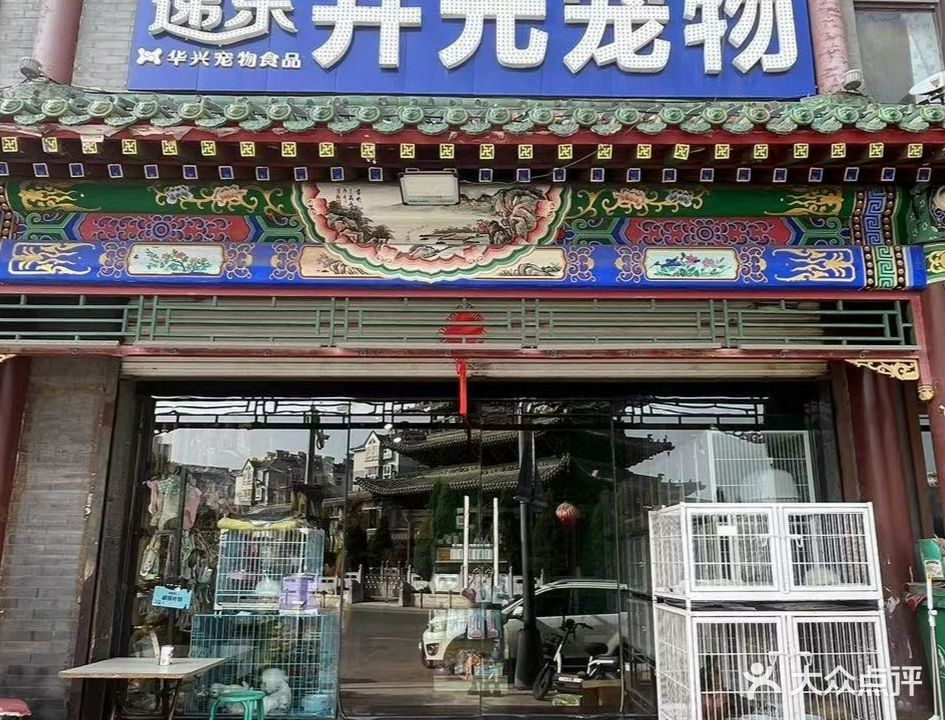 孝義開水族店怎么樣？加盟祥龍魚場賣龍魚市場怎樣？ 孝義開水族店怎么樣？加盟祥龍魚場賣龍魚市場怎樣？ 水族館百科（水族館加盟） 第3張