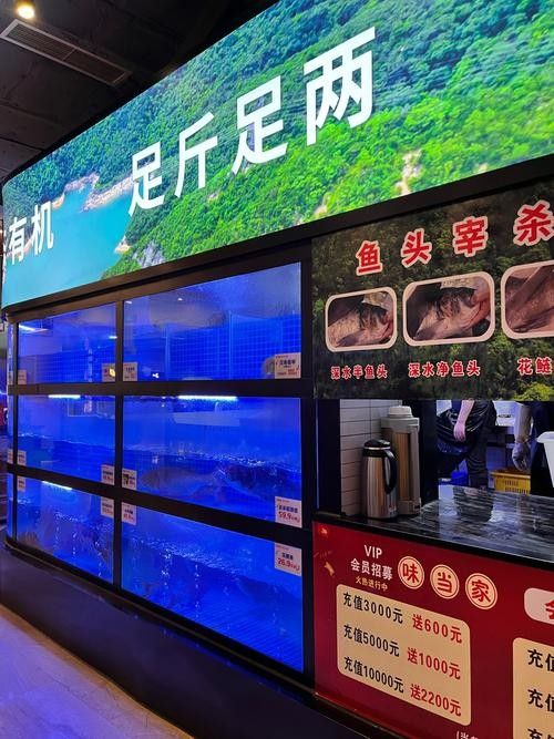掇刀開水族店怎么樣？加盟祥龍魚場賣龍魚市場怎樣？