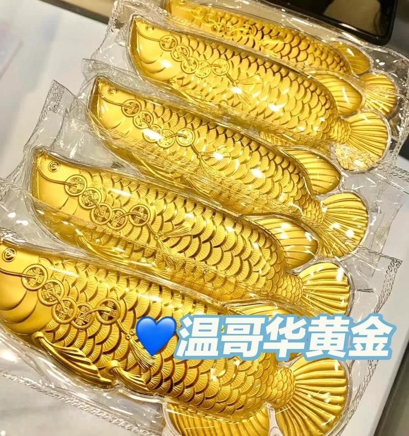 龍頭魚飾品哪個品牌最好？