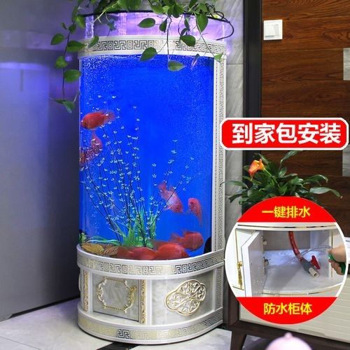 岳普湖開水族店怎么樣？加盟祥龍魚場賣龍魚市場怎樣？