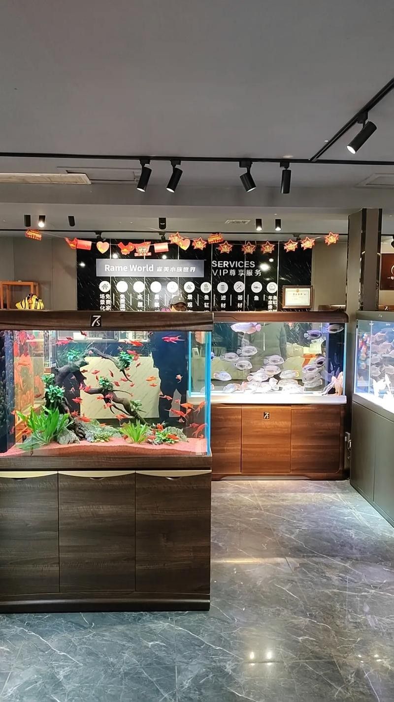 舟山開水族店怎么樣？加盟祥龍魚場賣龍魚市場怎樣？