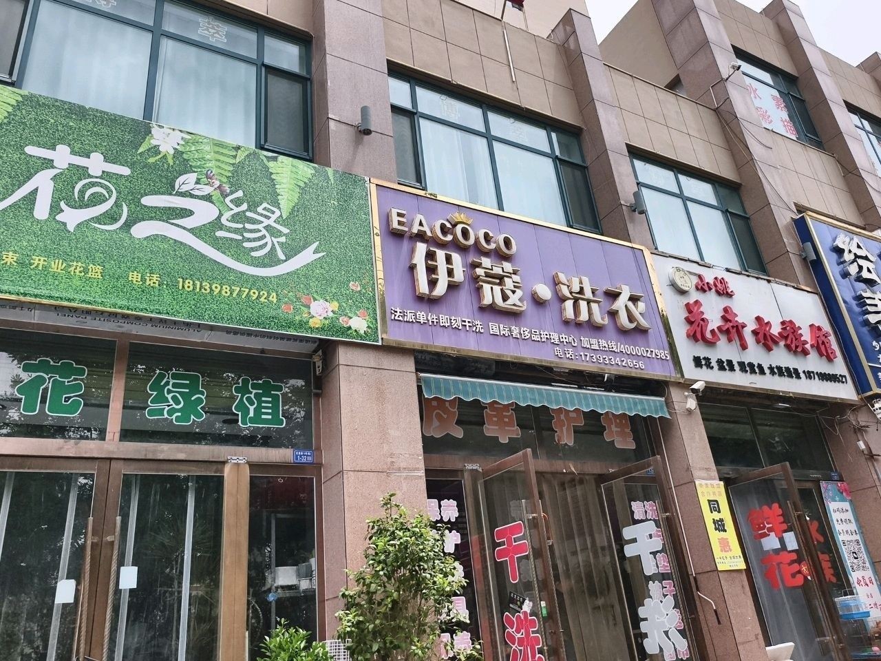 靜寧開水族店怎么樣？加盟祥龍魚場賣龍魚市場怎樣？
