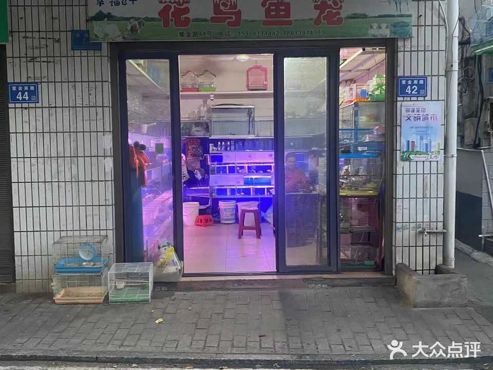 寧鄉(xiāng)開水族店怎么樣？加盟祥龍魚場(chǎng)賣龍魚市場(chǎng)怎樣？