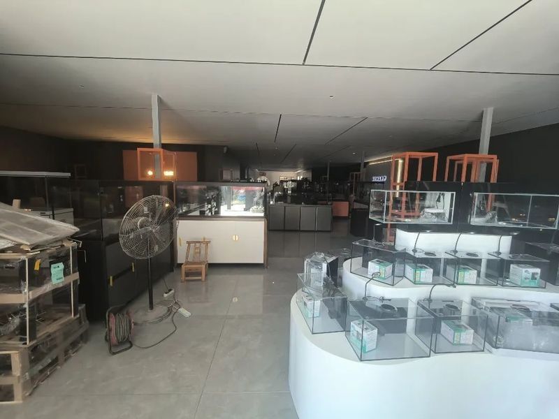 開陽開水族店怎么樣？加盟祥龍魚場賣龍魚市場怎樣？