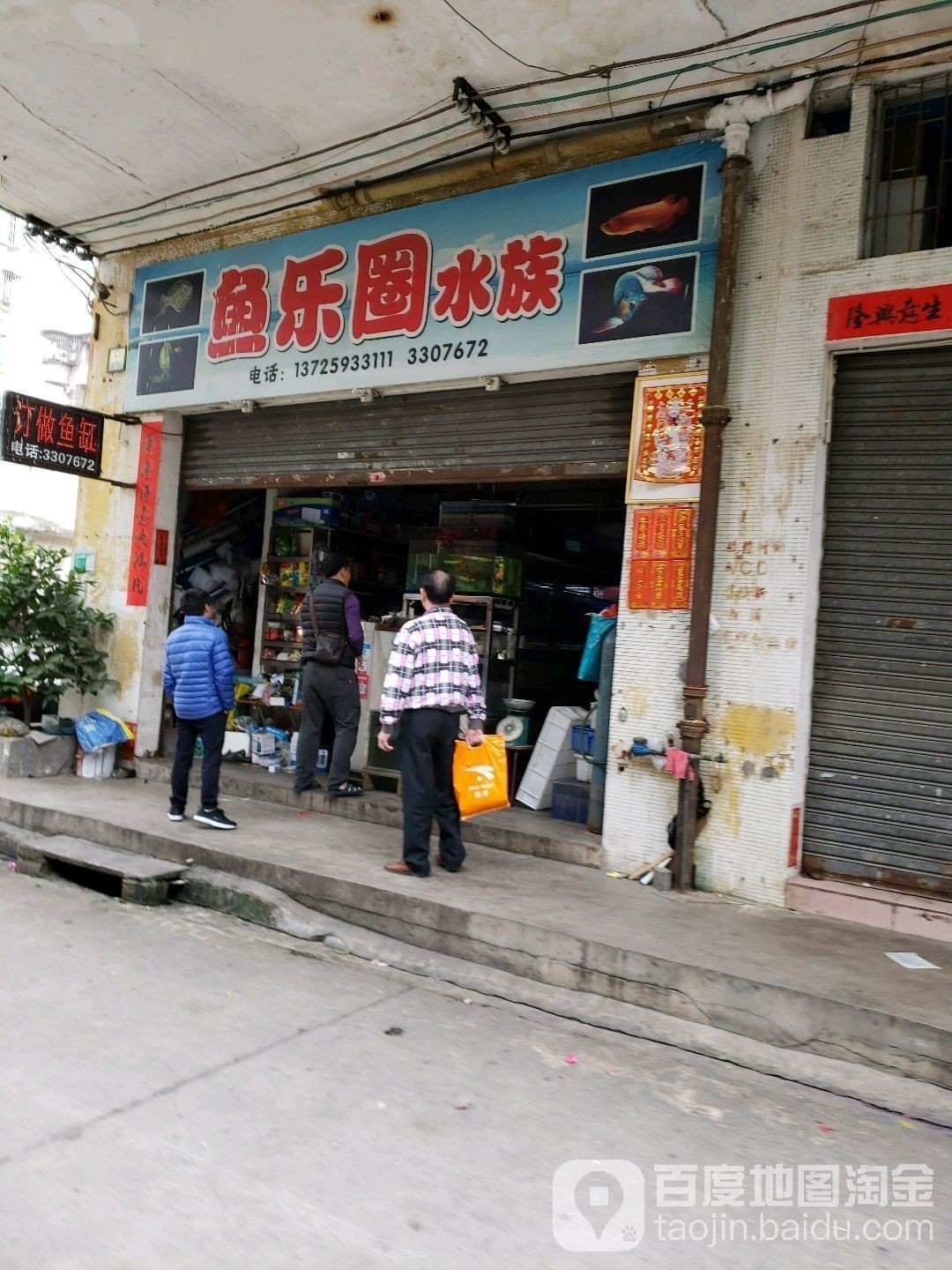 鶴山開水族店怎么樣？加盟祥龍魚場(chǎng)賣龍魚市場(chǎng)怎樣？