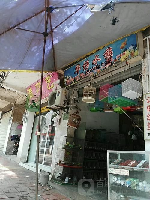 赤水開水族店怎么樣？加盟祥龍魚場賣龍魚市場怎樣？