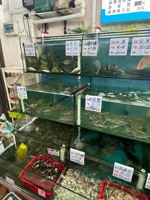 北海開水族店怎么樣？加盟祥龍魚場賣龍魚市場怎樣？