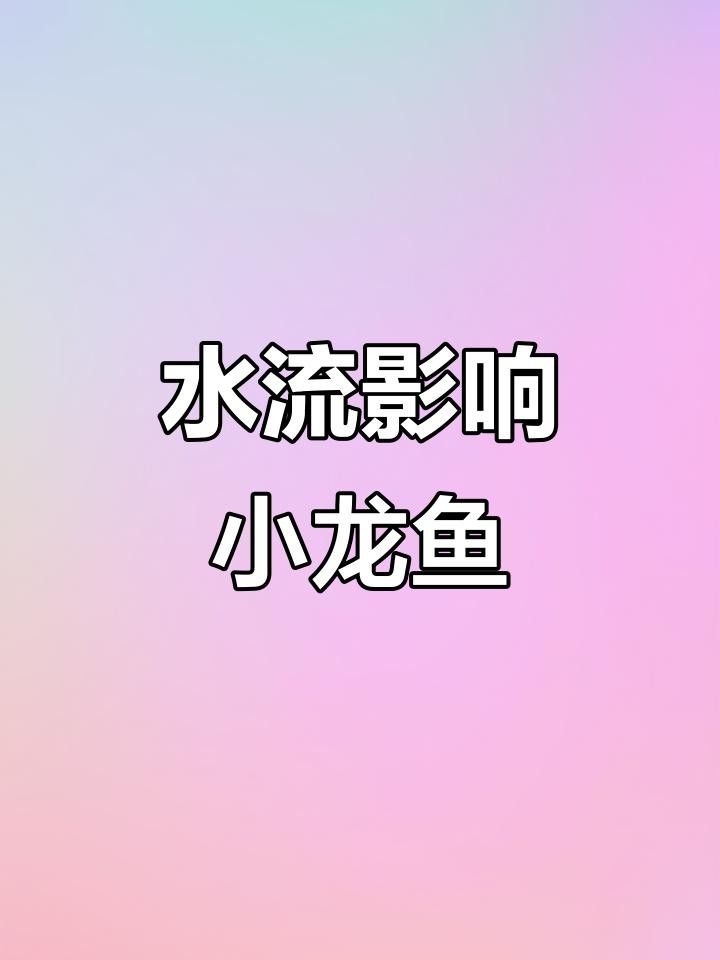 龍魚浮頭后應該如何急救？