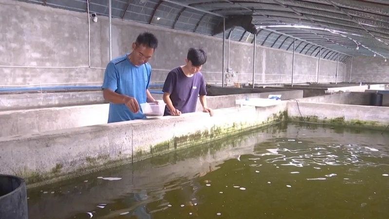 麥蓋提開水族店怎么樣？加盟祥龍魚場賣龍魚市場怎樣？