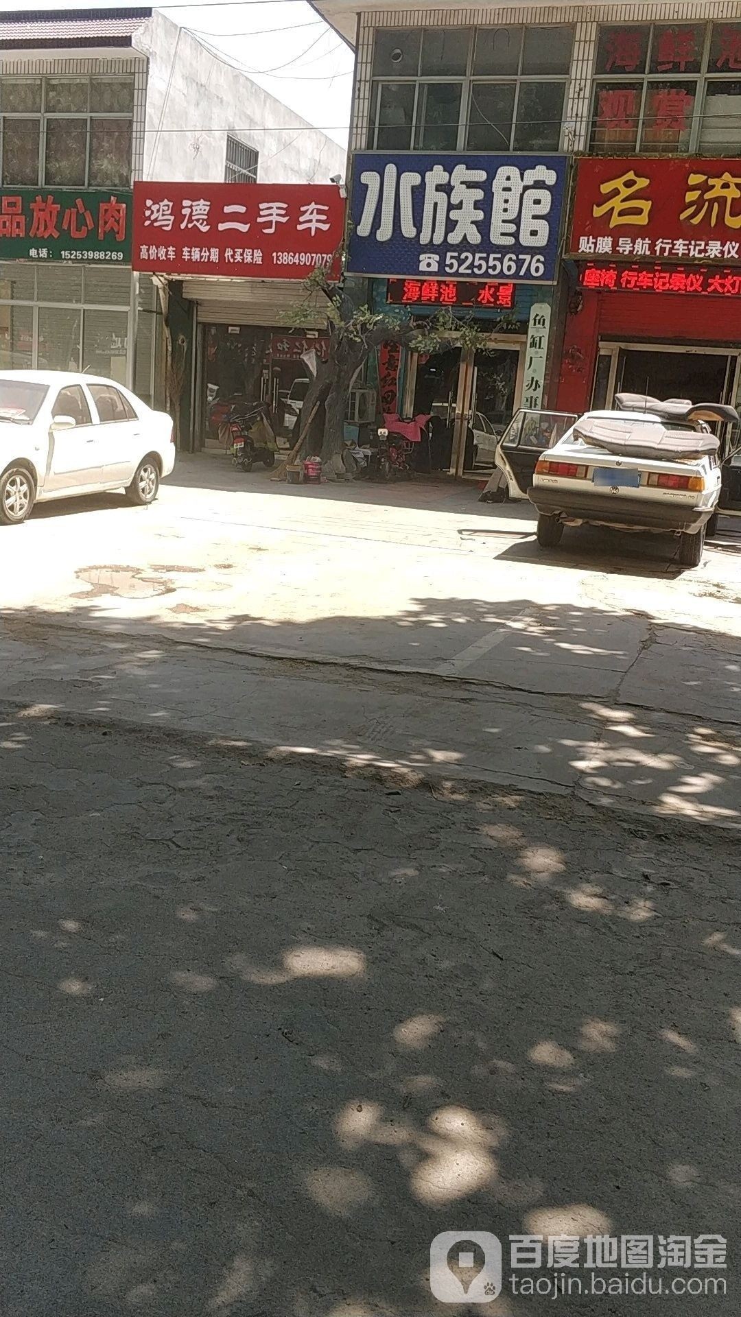臨沭開水族店怎么樣？加盟祥龍魚場賣龍魚市場怎樣？