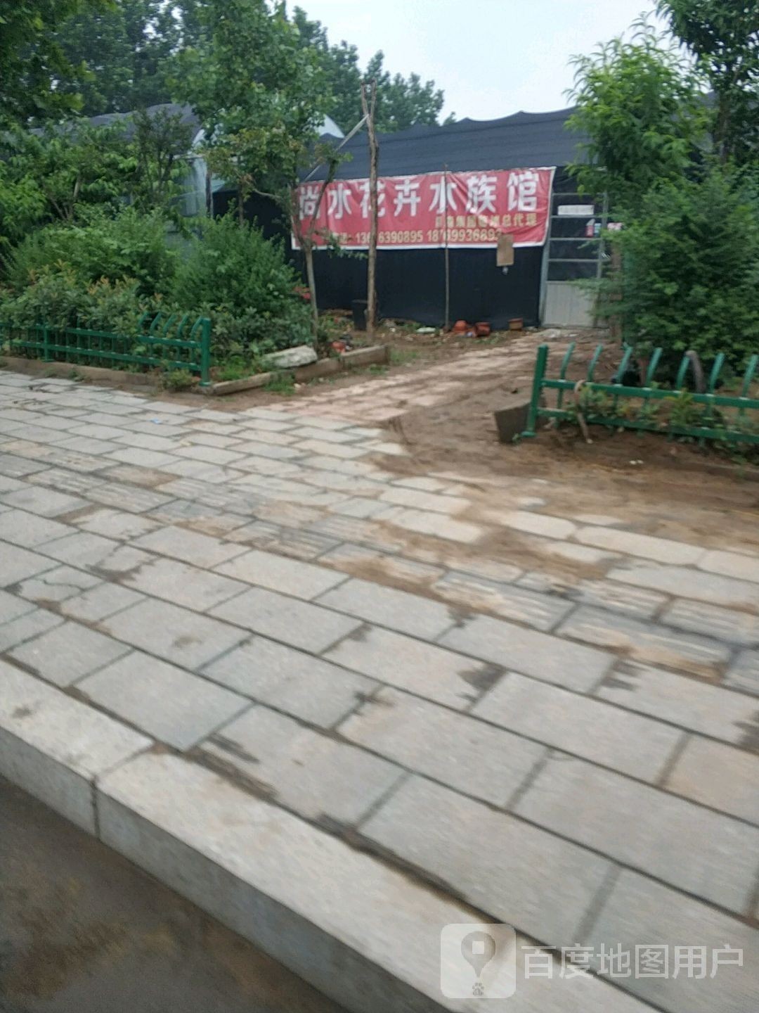 臨沭開水族店怎么樣？加盟祥龍魚場賣龍魚市場怎樣？