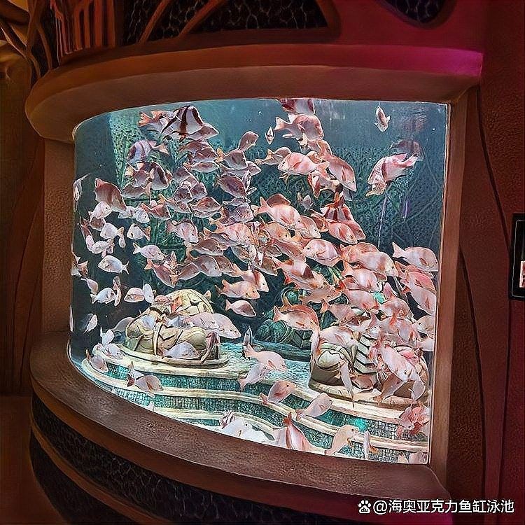 長葛開水族店怎么樣？加盟祥龍魚場賣龍魚市場怎樣？
