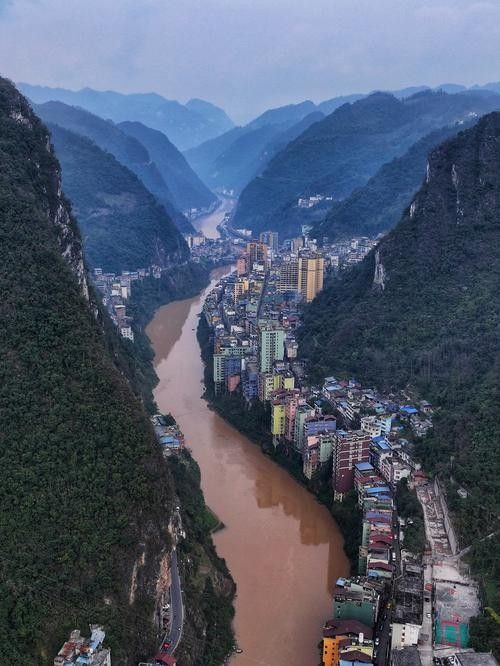 鹽津開水族店怎么樣？加盟祥龍魚場賣龍魚市場怎樣？ 鹽津開水族店怎么樣？加盟祥龍魚場賣龍魚市場怎樣？ 水族館百科（水族館加盟） 第6張