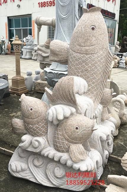石雕龍魚圖片 石雕龍魚圖片 龍魚百科 第15張