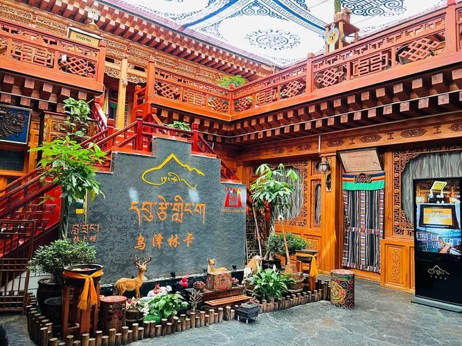 甘南州開水族店怎么樣？加盟祥龍魚場賣龍魚市場怎樣？