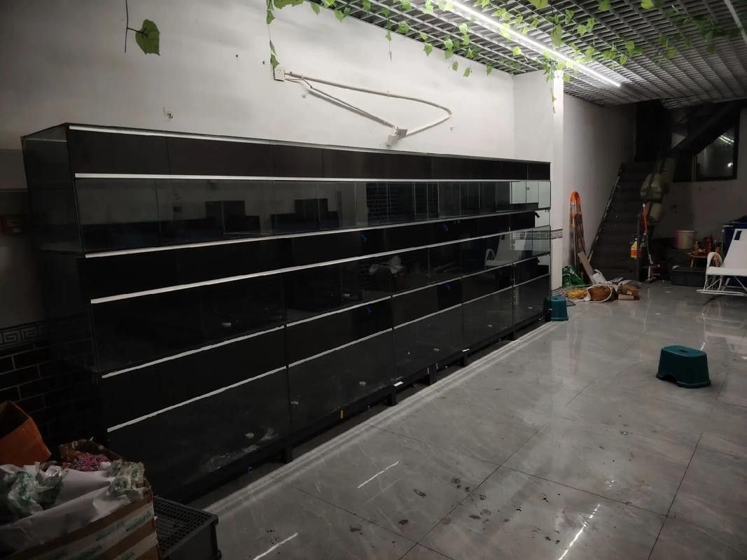 南市開水族店怎么樣？加盟祥龍魚場賣龍魚市場怎樣？