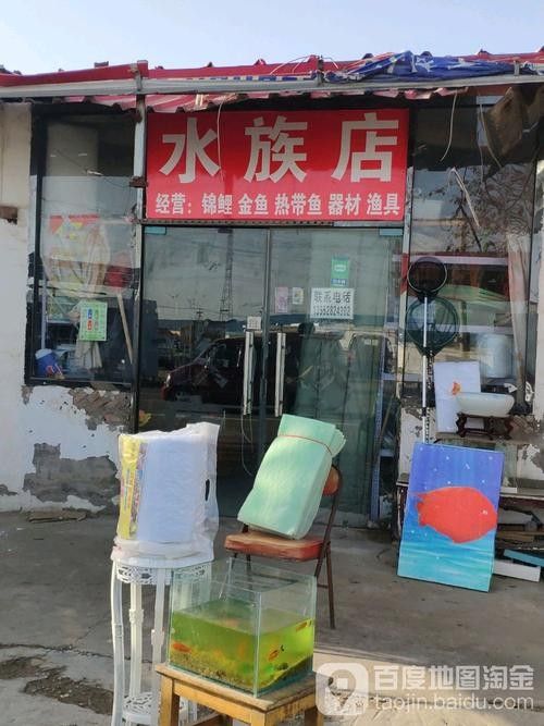 南市開水族店怎么樣？加盟祥龍魚場賣龍魚市場怎樣？