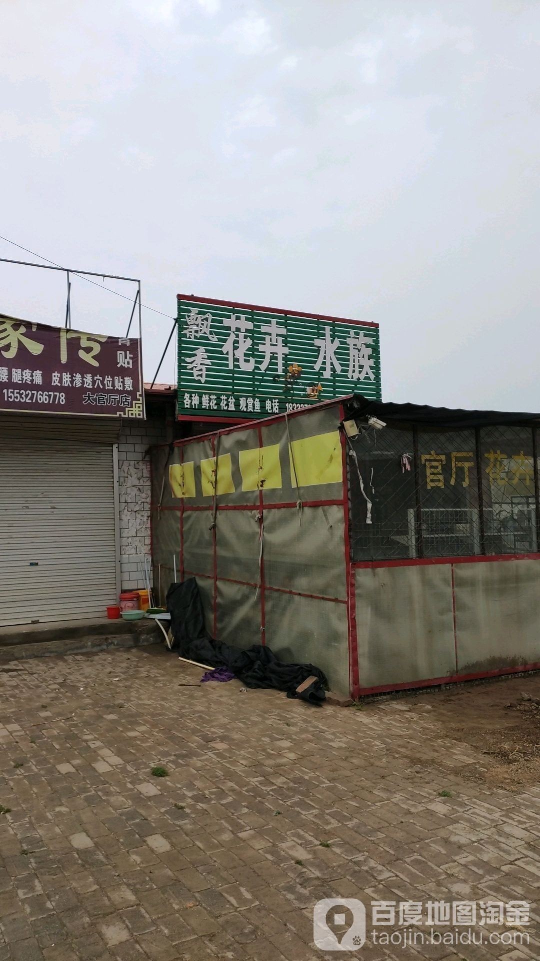 滄縣開水族店怎么樣？加盟祥龍魚場賣龍魚市場怎樣？