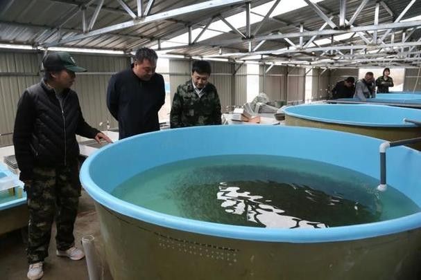 大興安嶺開水族店怎么樣？加盟祥龍魚場賣龍魚市場怎樣？