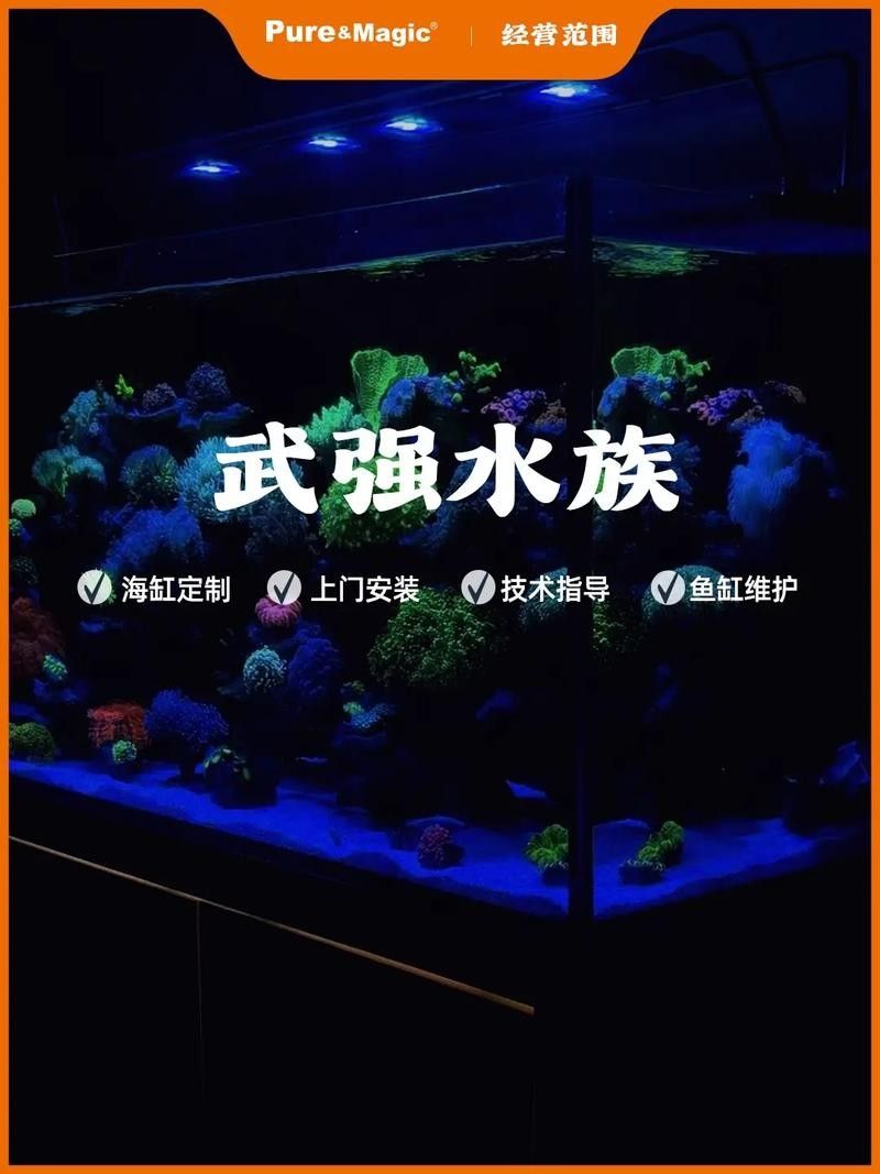 武強開水族店怎么樣？加盟祥龍魚場賣龍魚市場怎樣？ 武強開水族店怎么樣？加盟祥龍魚場賣龍魚市場怎樣？ 水族館百科（水族館加盟） 第5張