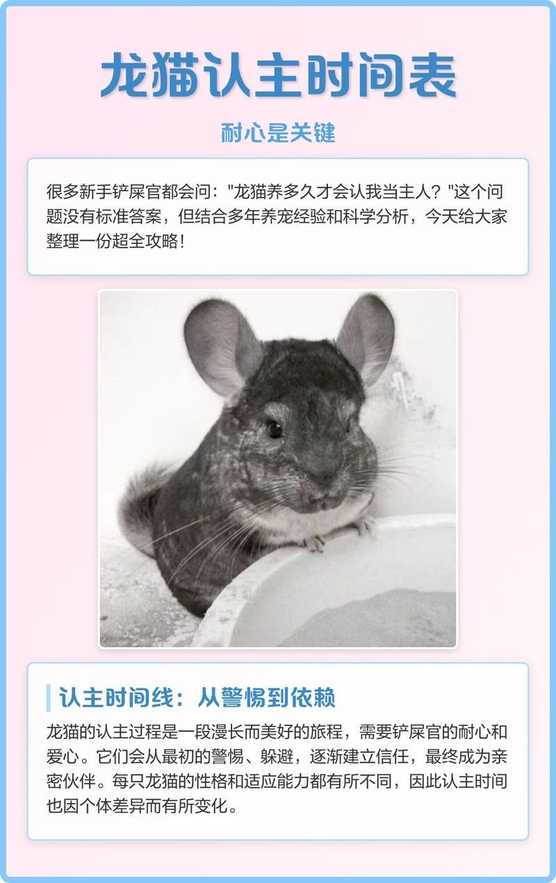 龍貓能記住哪些指令？