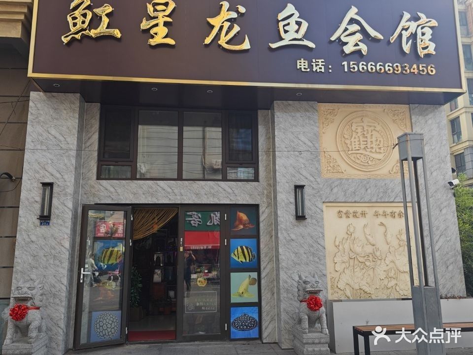 青島龍魚在哪賣好點兒