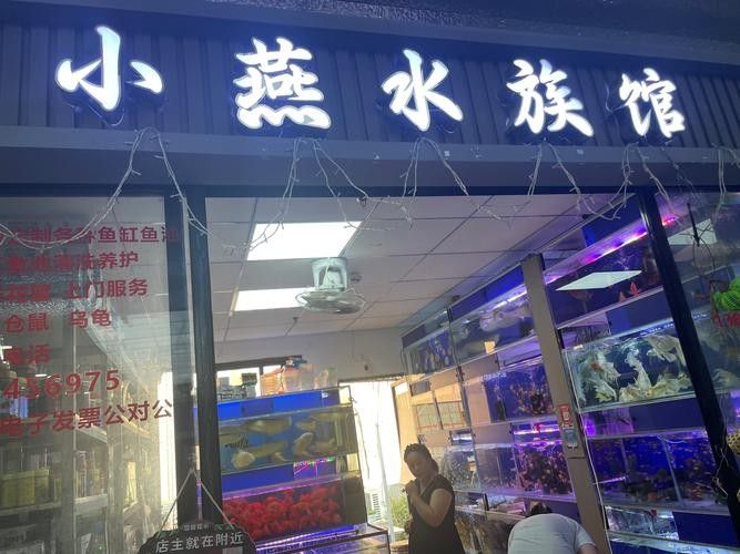 青島龍魚在哪賣好點兒