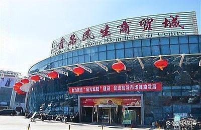 青島龍魚在哪賣好點兒