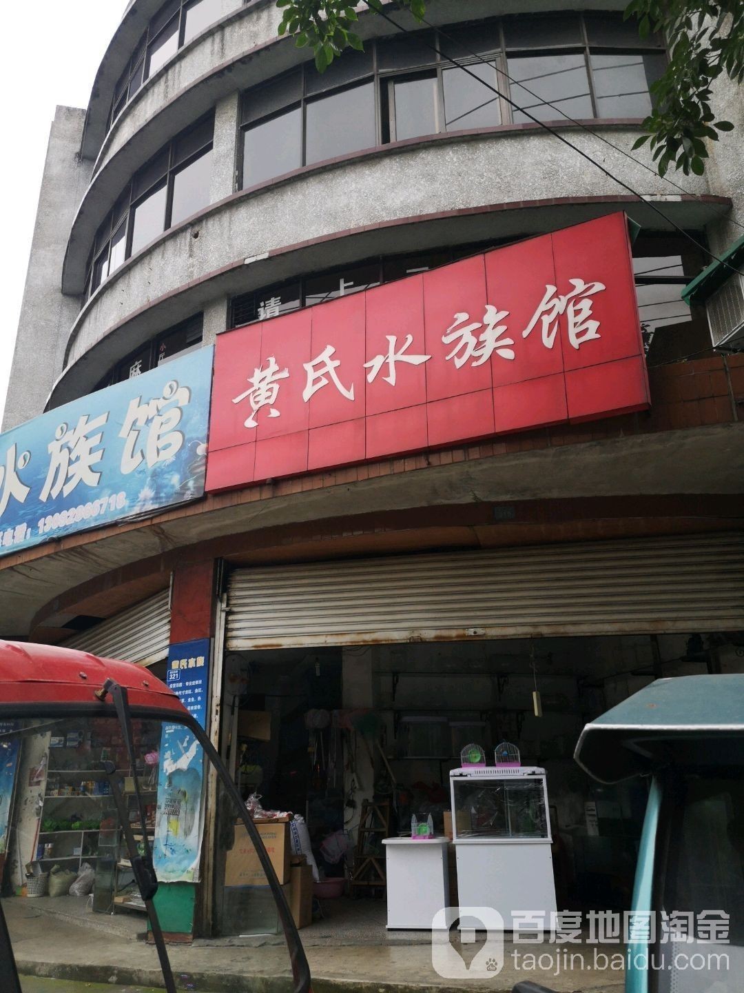 什邡開水族店怎么樣？加盟祥龍魚場賣龍魚市場怎樣？