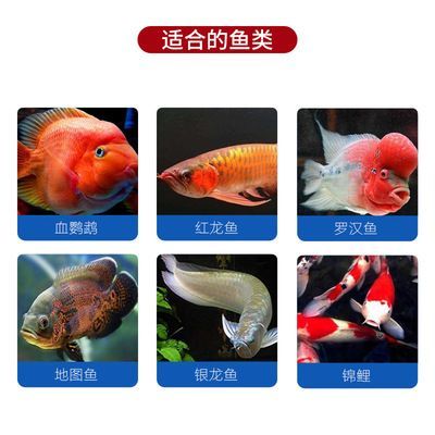 鸚鵡魚和銀龍魚水溫多少合適：如何調(diào)節(jié)魚缸水溫至適宜范圍
