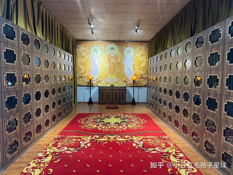 有哪些寵物殯葬服務提供火化？