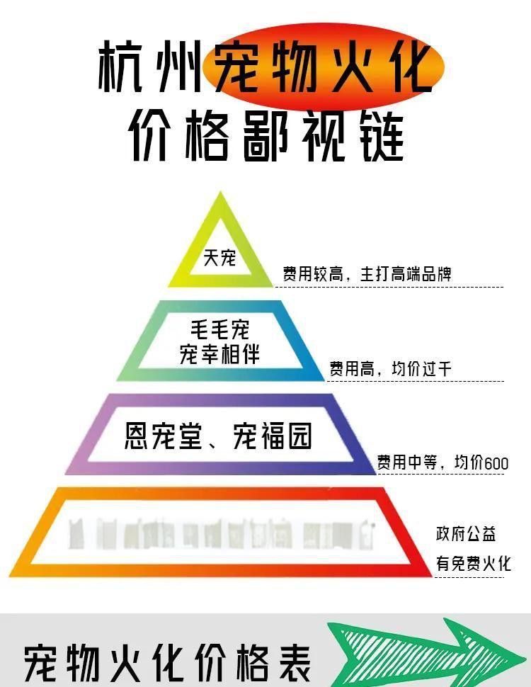 有哪些寵物殯葬服務提供火化？