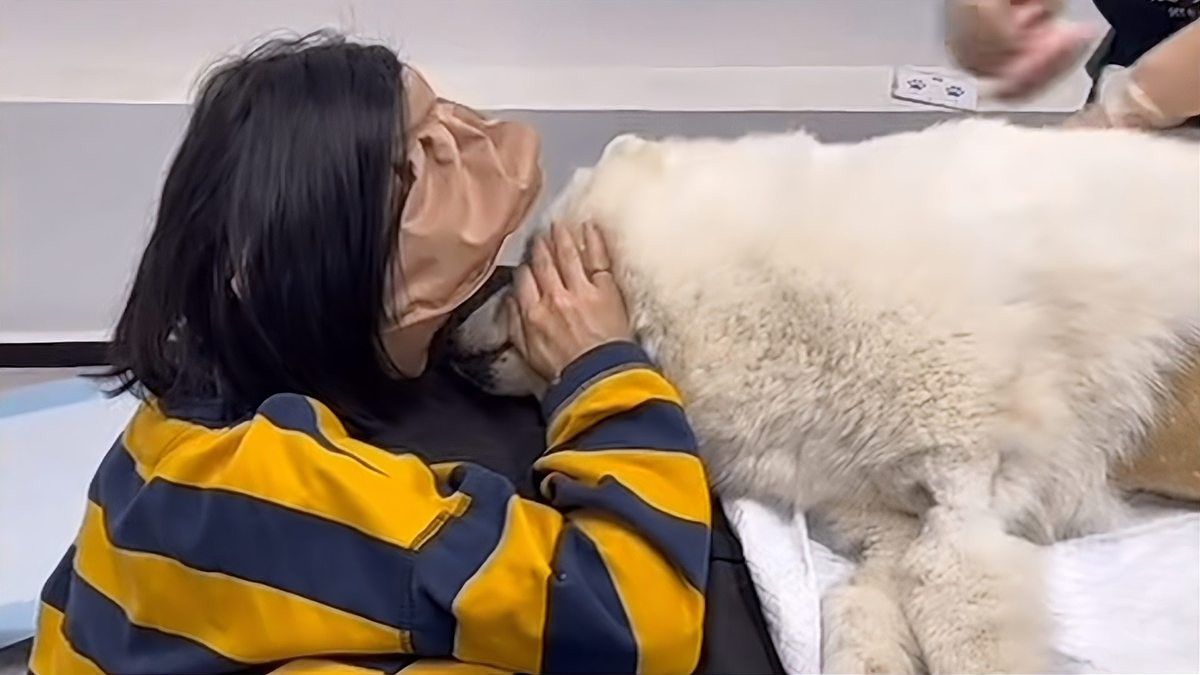 有哪些寵物殯葬服務提供火化？