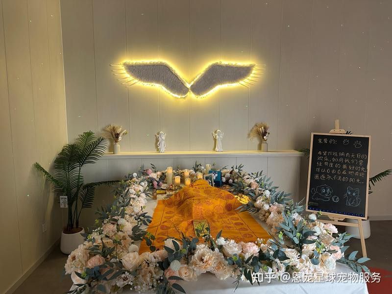 有哪些寵物殯葬服務提供火化？