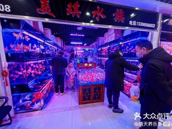南票開水族店怎么樣？加盟祥龍魚場賣龍魚市場怎樣？