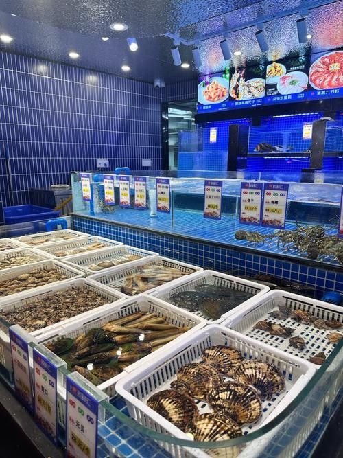 南票開水族店怎么樣？加盟祥龍魚場賣龍魚市場怎樣？