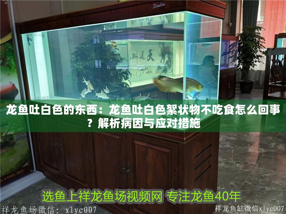 龍魚吐白色的東西：龍魚吐白色絮狀物不吃食怎么回事？解析病因與應對措施