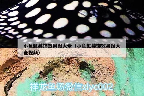 魚缸發(fā)圈文字（社區(qū)魚缸維護小技巧）
