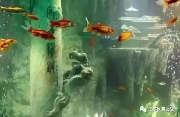 魚缸發(fā)圈文字（社區(qū)魚缸維護小技巧）