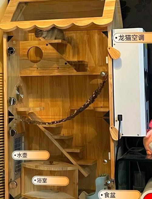 有哪些方法可以縮短龍貓的適應(yīng)期？