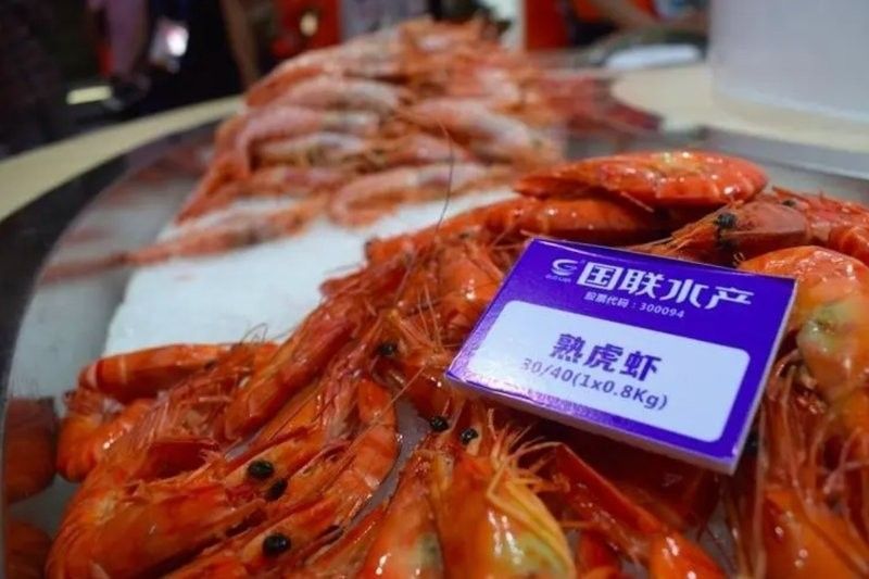 慈溪開(kāi)水族店怎么樣？加盟祥龍魚(yú)場(chǎng)賣(mài)龍魚(yú)市場(chǎng)怎樣？