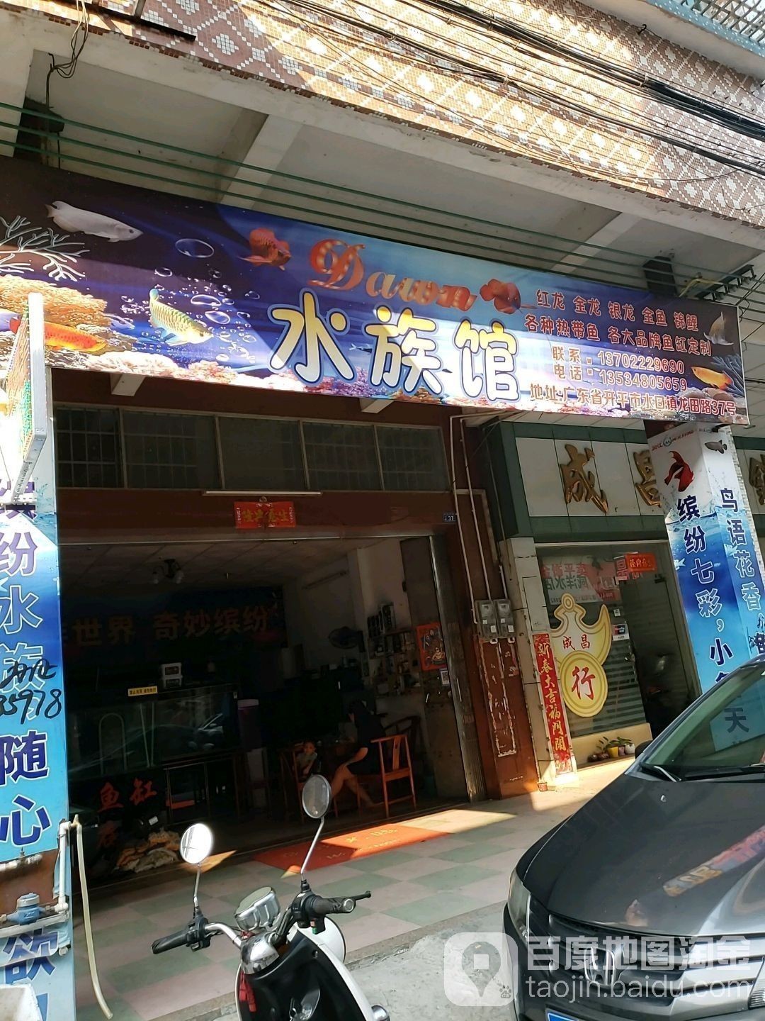 東山開水族店怎么樣？加盟祥龍魚場(chǎng)賣龍魚市場(chǎng)怎樣？ 東山開水族店怎么樣？加盟祥龍魚場(chǎng)賣龍魚市場(chǎng)怎樣？ 水族館百科（水族館加盟） 第4張