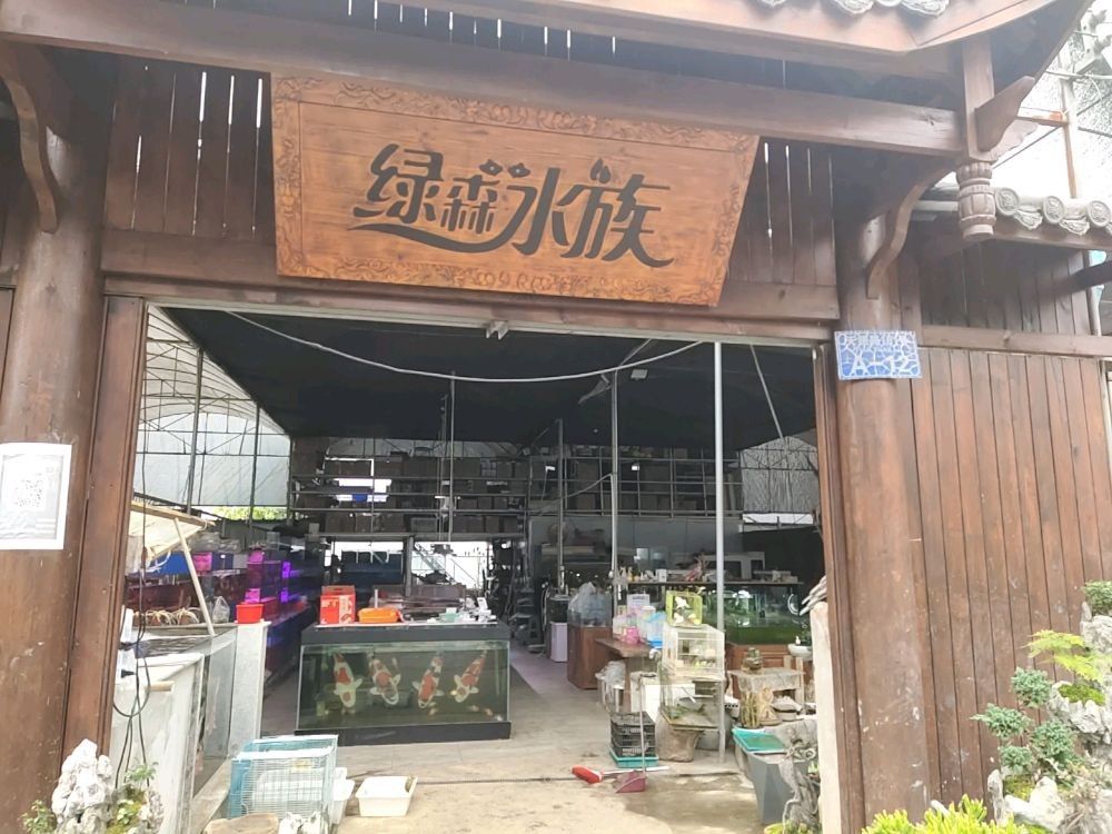萬州開水族店怎么樣？加盟祥龍魚場賣龍魚市場怎樣？