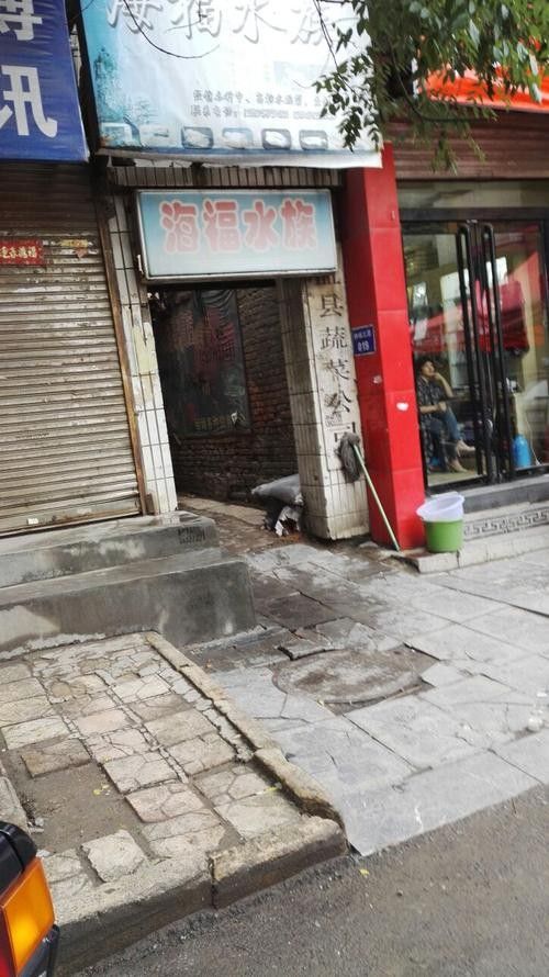 盂縣開水族店怎么樣？加盟祥龍魚場賣龍魚市場怎樣？