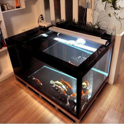龍魚魚缸制作設計圖：關于龍魚魚缸制作設計圖的相關信息 龍魚魚缸制作設計圖：關于龍魚魚缸制作設計圖的相關信息 龍魚百科